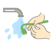 イラスト：流水で１本ずつ洗う
